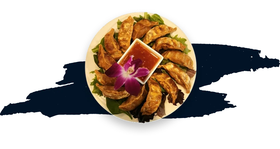 Gyoza